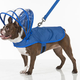 Illustration for article titled If You Have a Dog, You Cant Miss This Gadget Guide for the Spring